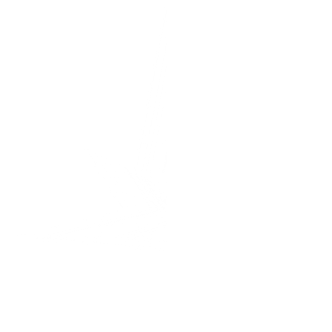 Millennium Systems International Sticker