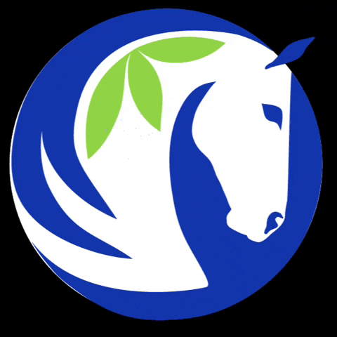 hakubaldwincenter GIF