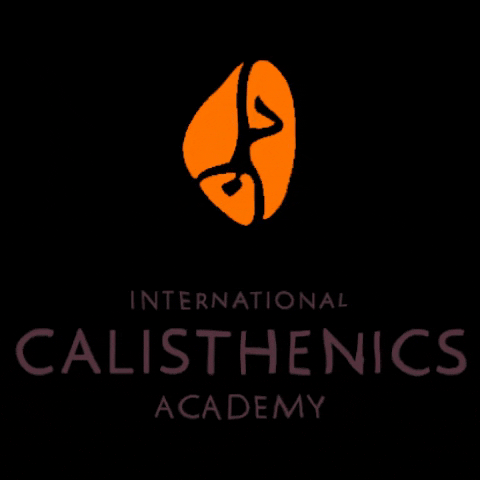 calisthenics-academy calisthenics calisthenics academy calisthenicsacademy internationalcalisthenicsacademy GIF
