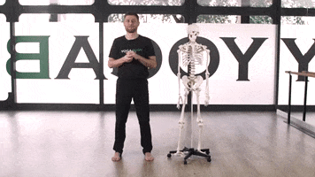 200.gif?cid=fc005b08606c3ab9519c0e6321c3b96be10aef56f4efce35&rid=200.gif&ct=g