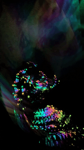 Floating Video Art GIF by Mollie_serena