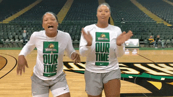 Happy College Sports GIF by Wright State University Athletics