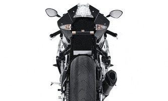 trydeal bmw s1000rr s1000 plate flipper GIF