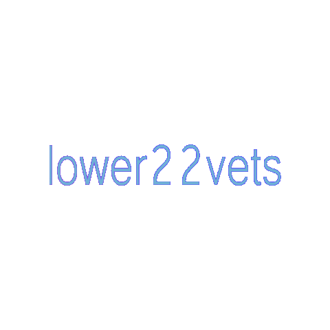 lower22vets Sticker