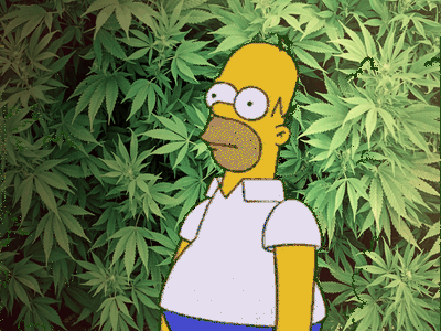 4-20 Weed GIF - Find & Share on GIPHY
