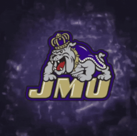 purple storm logo GIF by JMUDukes