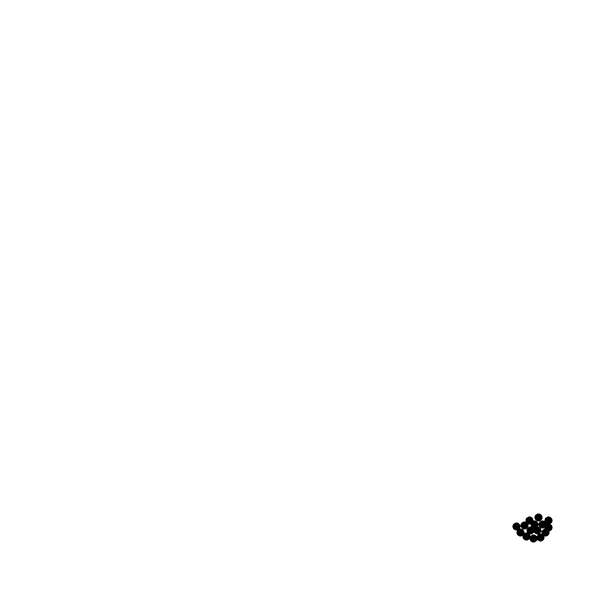 boba kangaroo