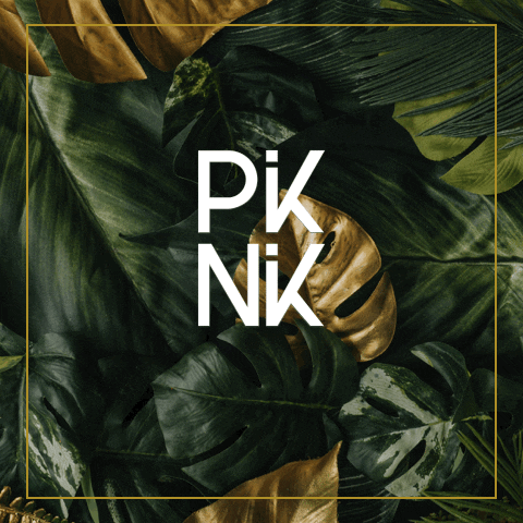 PiKNiK GIF