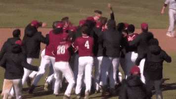 LafayetteLeopards celebration baseball win walk GIF