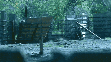 Adc The Walking Dead GIF by AMC Latinoamérica