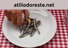 Sonidos GIF