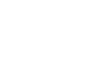 Crown Insurance Sticker by Florida KidCare