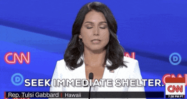 Tulsi Gabbard Shelter GIF by GIPHY News