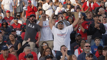 Fans Hype GIF by XFL