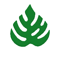 Summer Sticker