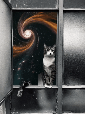 Cat Space GIF by nashmoch