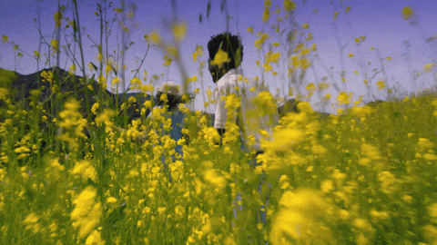 Flowers Follow Gif By Willie Jones Find Share On Giphy