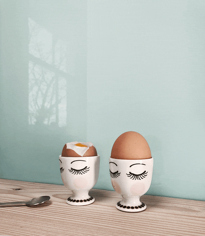 alusplash flash kitchen eggs interior GIF