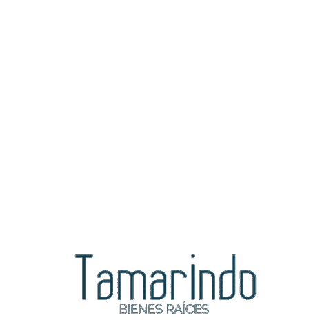 Tamarindo Real Estate Sticker by Tamarindo Bienes Raíces