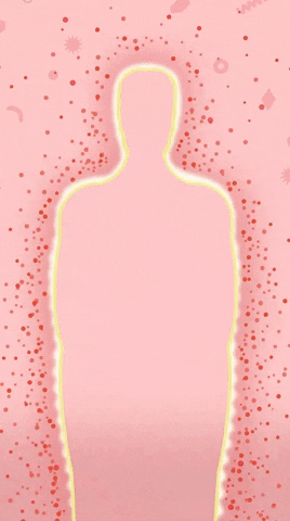 Pink Illustration GIF