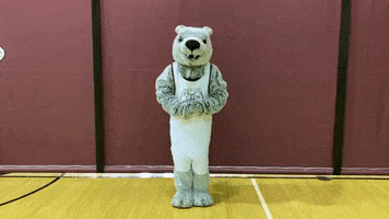 Get Ready Fitness GIF by Cardinal Stritch University Get Ready Fitness GIF by Cardinal Stritch University