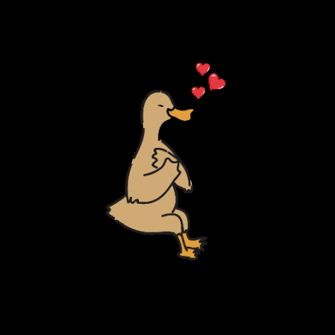 Bebek BKB GIF