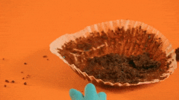 Hungry Stop Motion GIF by Motoko World