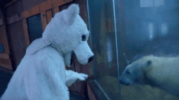 nhbrown  GIF