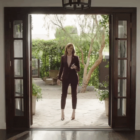 REMAX TERRA GIF