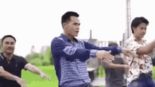 giphy.gif