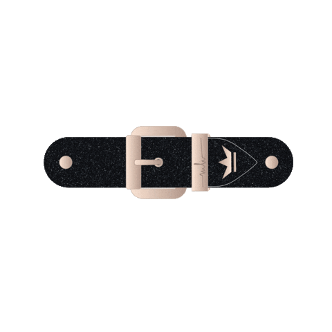 Glitter Gurtel Sticker by Palmers