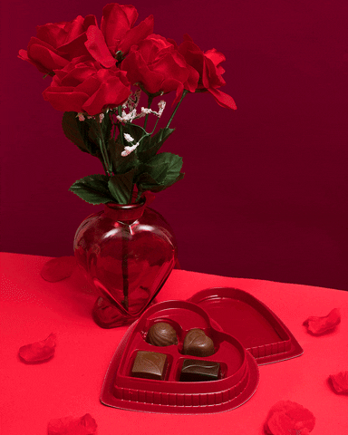 linneabullion chocolate valentines day single happy valentines day GIF