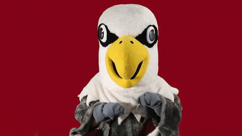 giphy.gif?cid=ecf05e47lrmtsxdo5ov2pr9t7q