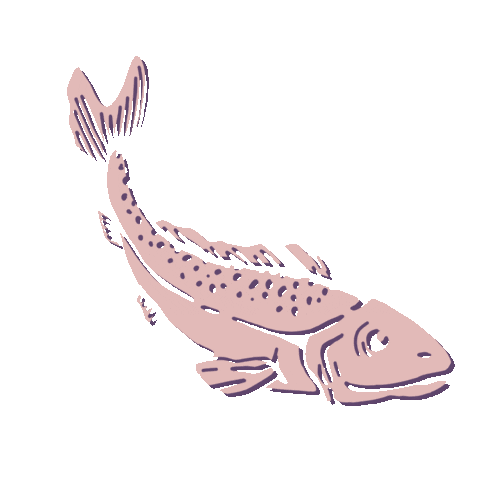 Tigre Morado Sticker