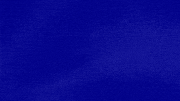 Scammers GIF by Jeopardy!