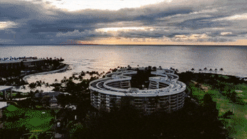 Hilton Grand Vacations Ocean GIF by HGVSocial