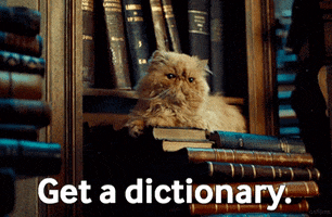 Cat Dictionary GIF by swerk