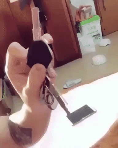 Dog Wow GIF by JustViral.Net