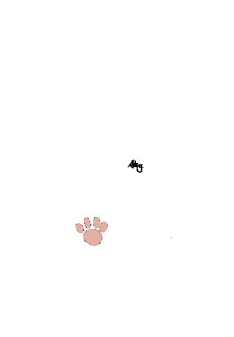 Cat 貓 Sticker
