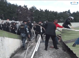 juanmanuelvegal  GIF