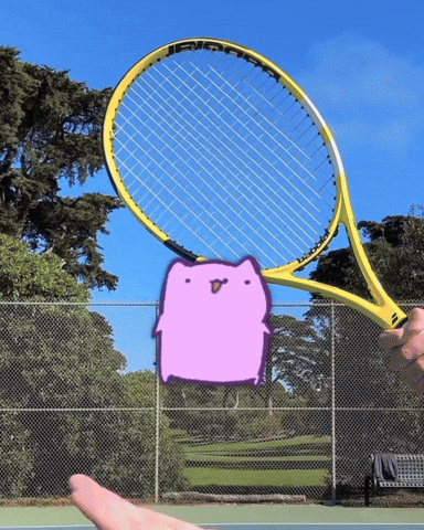 Cat Tennis GIF