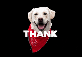 Thank You So Much GIF by Paw-Berries