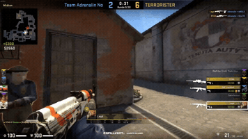 Animated GIF