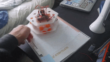 Animated GIF