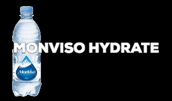 MonViso Water GIF