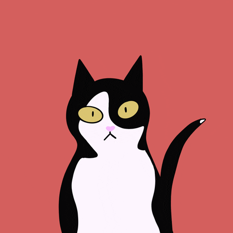 Buero Lyndgrun GIF