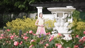 Padme Amidala Spin GIF by Temple Of Geek