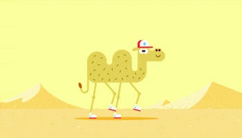 Camel GIF by Hey Duggee