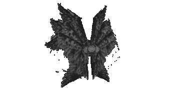 Angel Wings Sticker