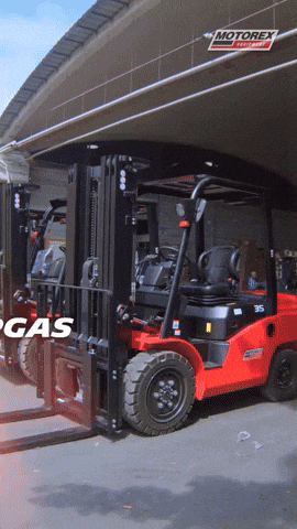 GIF by Havoline Ecuador